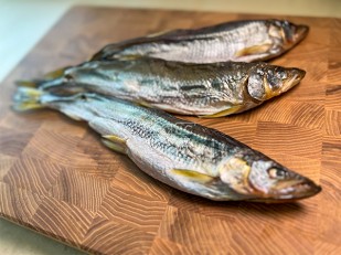 Луковые кольца 